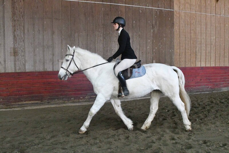 1-3-26 AEEAlumni-0095.jpg