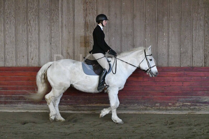 1-3-26 AEEAlumni-0114.jpg