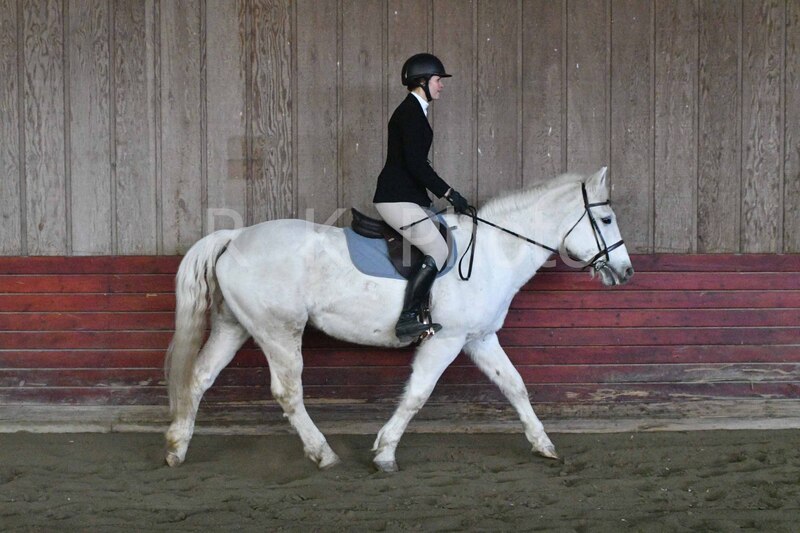 1-3-26 AEEAlumni-0116.jpg