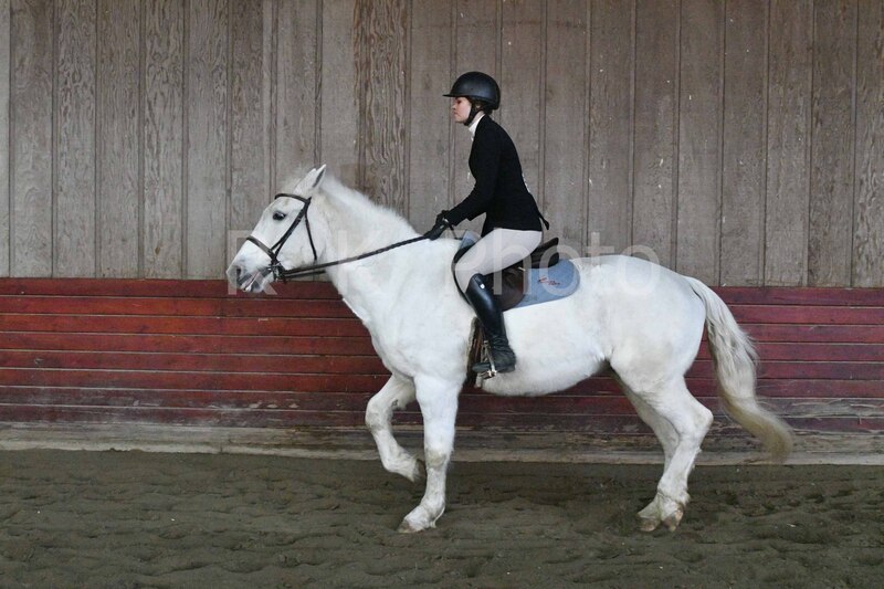 1-3-26 AEEAlumni-0150.jpg