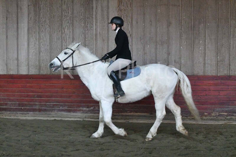 1-3-26 AEEAlumni-0152.jpg