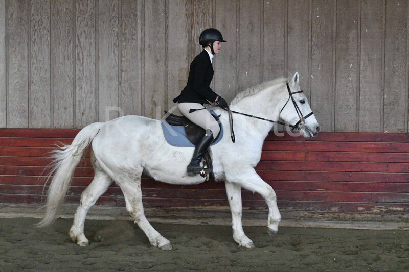 1-3-26 AEEAlumni-0168.jpg