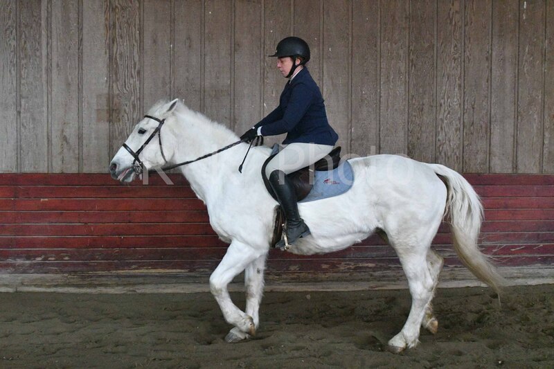 1-3-26 AEEAlumni-0395.jpg