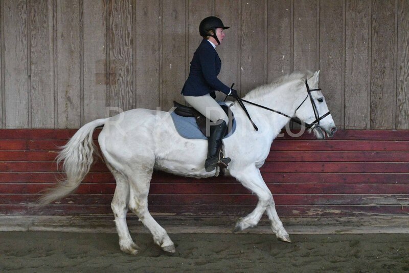 1-3-26 AEEAlumni-0425.jpg