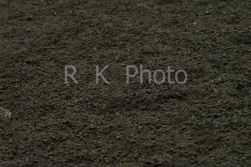 1-9-26 Gardner-0180.jpg