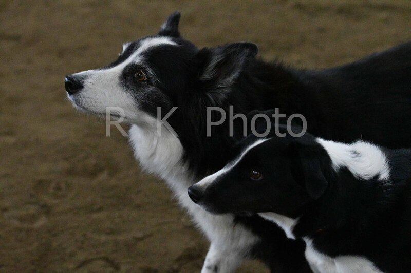 12-13-25 Gardner-0101.jpg