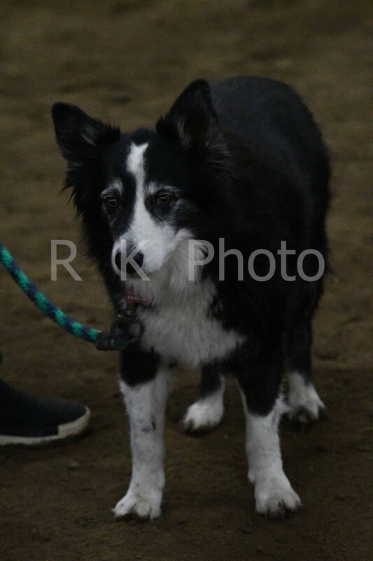 12-13-25 Gardner-0116.jpg