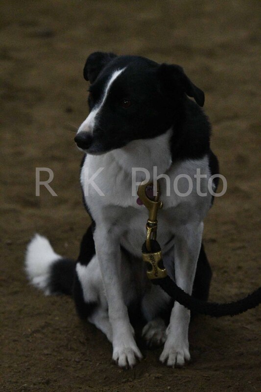 12-13-25 Gardner-0117.jpg