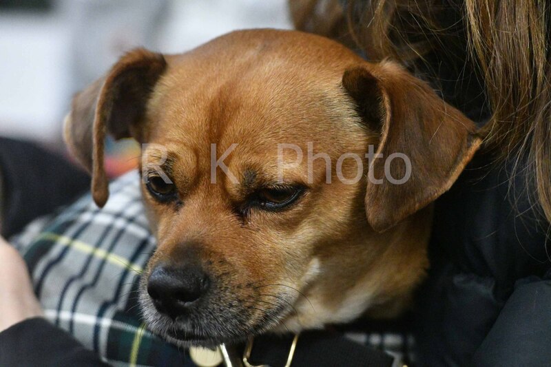 12-20-25 Gardner-0058.jpg