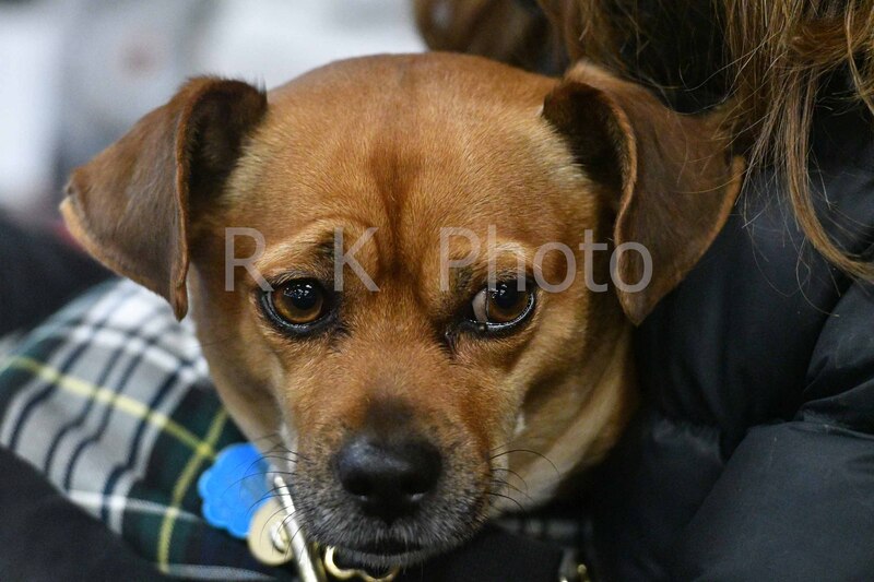 12-20-25 Gardner-0059.jpg