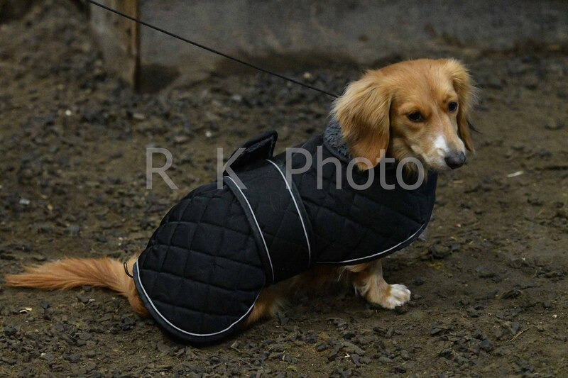 12-20-25 Gardner-0081.jpg