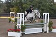 10-11-25 Willow-0001.jpg