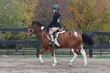 10-11-25 Willow-0034.jpg