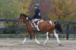 10-11-25 Willow-0035.jpg
