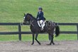 10-11-25 Willow-0036.jpg