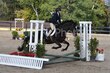 10-11-25 Willow-0108.jpg