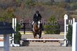 10-11-25 Willow-0112.jpg