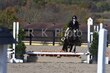 10-11-25 Willow-0114.jpg