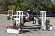 10-11-25 Willow-0115.jpg
