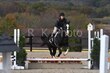 10-11-25 Willow-0154.jpg
