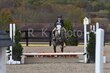 10-11-25 Willow-0156.jpg