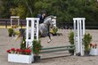 10-11-25 Willow-0157.jpg