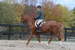10-11-25 Willow-0232.jpg