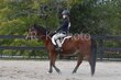 10-11-25 Willow-0416.jpg