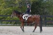 10-11-25 Willow-0417.jpg