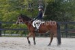 10-11-25 Willow-0418.jpg