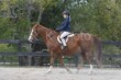 10-11-25 Willow-0419.jpg