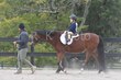 10-11-25 Willow-0569.jpg