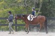 10-11-25 Willow-0570.jpg