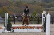 10-11-25 Willow-0814.jpg