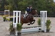 10-11-25 Willow-0817.jpg