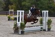 10-11-25 Willow-0882.jpg