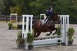 10-11-25 Willow-0883.jpg