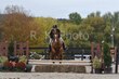 10-11-25 Willow-0884.jpg