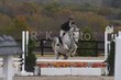 10-11-25 Willow-0894.jpg