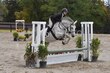 10-11-25 Willow-0895.jpg
