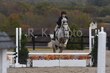 10-11-25 Willow-0897.jpg