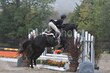 10-11-25 Willow-1014.jpg