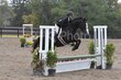 10-11-25 Willow-1015.jpg