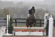 10-11-25 Willow-1017.jpg