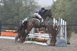 10-11-25 Willow-1020.jpg