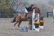 10-11-25 Willow-1063.jpg