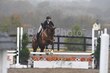 10-11-25 Willow-1065.jpg