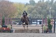 10-11-25 Willow-1066.jpg