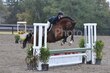10-11-25 Willow-1067.jpg