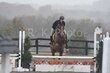 10-11-25 Willow-1104.jpg